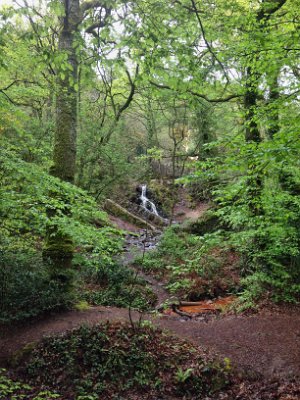 16. Magický les Brocéliande, který je zahalen nejen artušovskými legendami